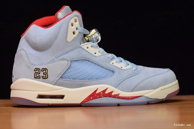 CI1899-400 Room Blue Trophy Air 5 x JSP Ice Jordan 0707